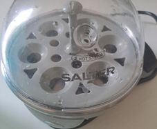 egg steamer