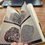 The Audubon Society Field Guide to North American Rocks and Minerals Image 8