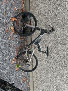 mens bike