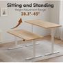 Electric Height Adjustable Standing Desk, 60x100cm Image 3