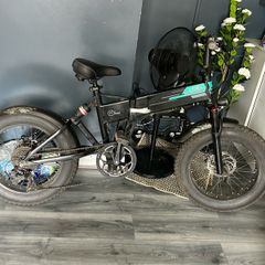 e bike
