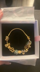 Brand new Pandora bracelet with charms
