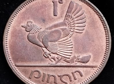 Ireland - 1968 - Irish 1 Penny - 1d - Hen with Chicks - KM.11 - UNC - [2701]