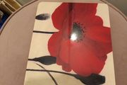 4 x poppy washable placemats