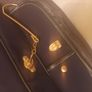 Suit Bag Bnwot Image 4