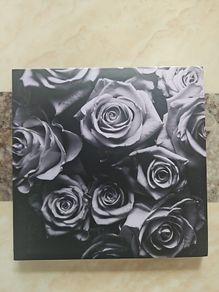 Zomby 2CD  - With Love