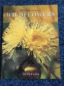 Wildflowers Australia by Steve Parish