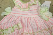 babys dress bnwt