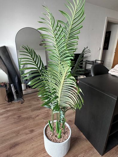artificial plant