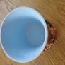 I love Mum Flower Pot for Sale Image 2