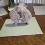 Nativity scene Image 5