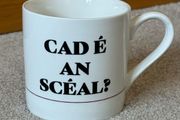 Cad E An Sceal Ceramic Coffee Mug
