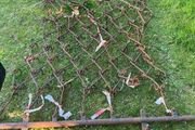 Drag Chain Harrow
