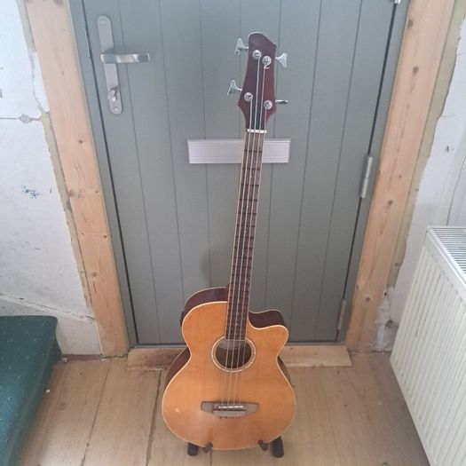 electro Acoustic bass
