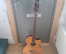 electro Acoustic bass