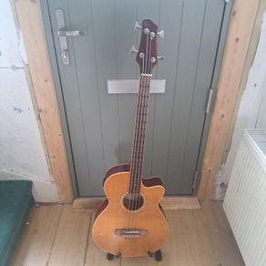 electro Acoustic bass