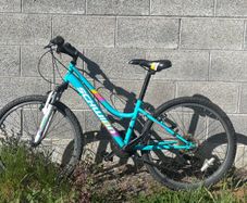 24" schwinn mountain bike(2 options)