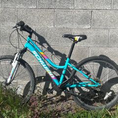 24" schwinn mountain bike(2 options)