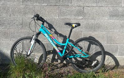 24" schwinn mountain bike(2 options)