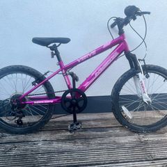 Child's 20" bicycle