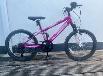 Child's 20" bicycle