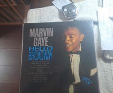 Vinyl.Marvin Gaye.