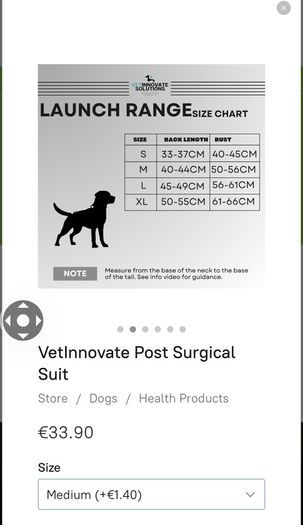 Dog surgery suit