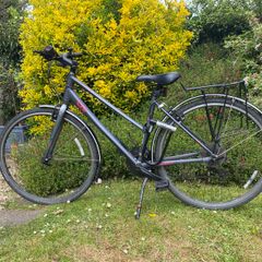 Ladies Bike