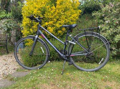 Ladies Bike