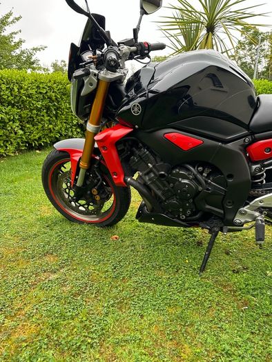 2008 Yamaha Cycle
