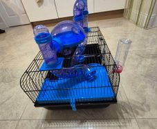 Hamster cage
