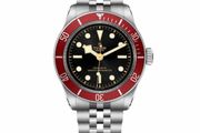Tudor Black bay 41