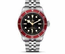 Tudor Black bay 41