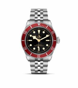 Tudor Black bay 41
