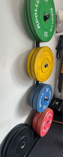 Weighted Plates + Barbells