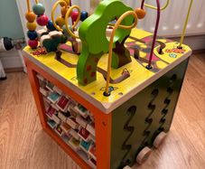 Zany Zoo Activity Cube