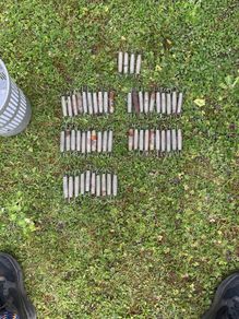 trampoline springs