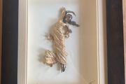 Carl Payne Sculpture Grace Figurine in Frame