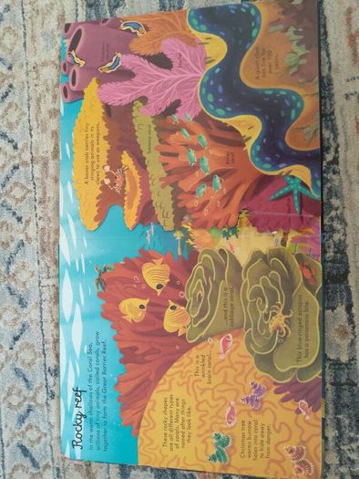 Usborne Look Inside Sea and Oceans