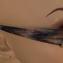 Trussardi sun glasses Image 5