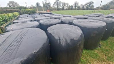 Silage Bales