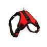 Dog Harness & Leash Image 3
