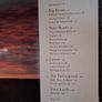 Thomas Pakenham / In Search of Remarkable Trees / 1st edition/ 2007 Image 5