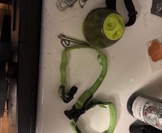 Miscellaneous dog items