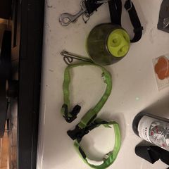 Miscellaneous dog items