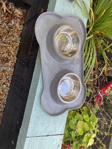 Dog bowls