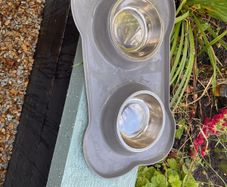 Dog bowls
