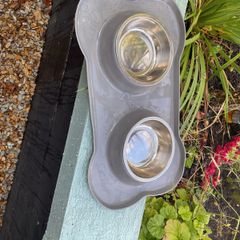 Dog bowls