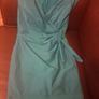 Coast Dress Image 3