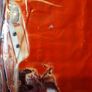 Lightning Mc Queen party table cloth. Image 3